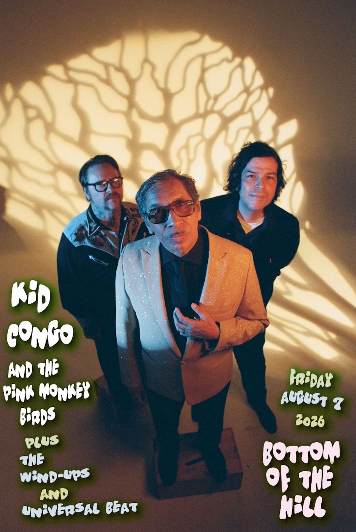 Kid Congo and the Pink Monkey Birds