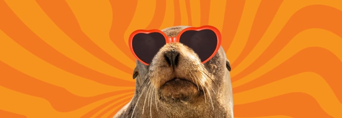 Summer of Love at PIER 39