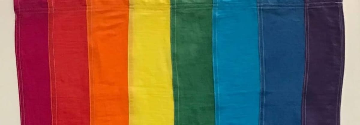 Her Story, History, Their Story, Whose Story? Facts and Fictions in Historical Queer Books