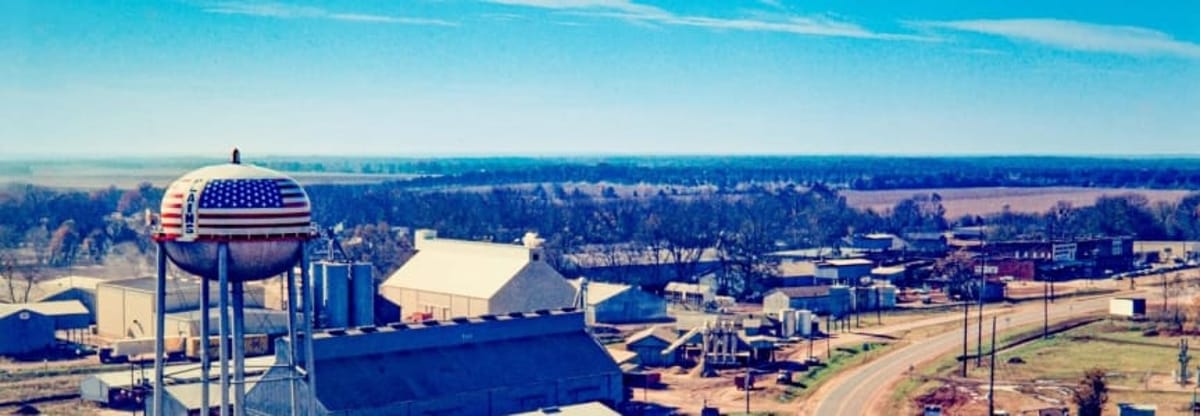 Carter Country