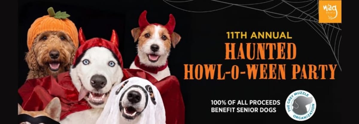 Haunted Howl-o-ween Party for Dogs at Wag Hotels!