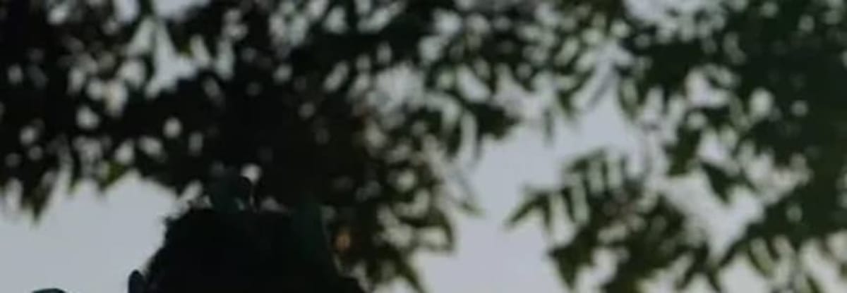 GREEN FILM FESTIVAL: Harvest