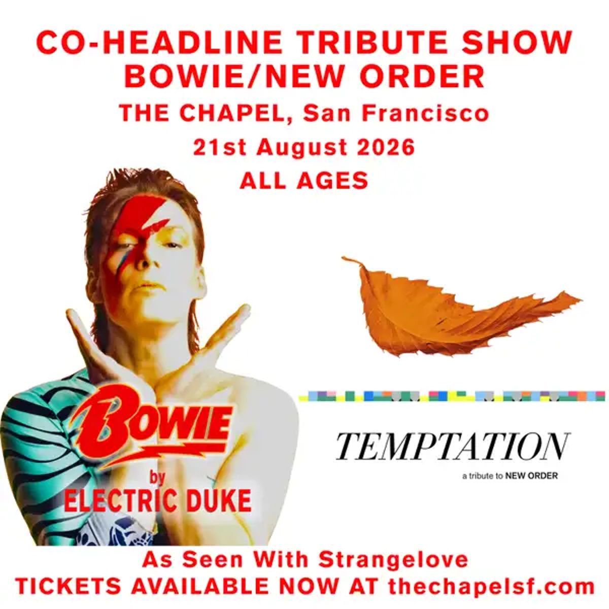 Electric Duke: Bowie Tribute, Temptation: New Order Tribute