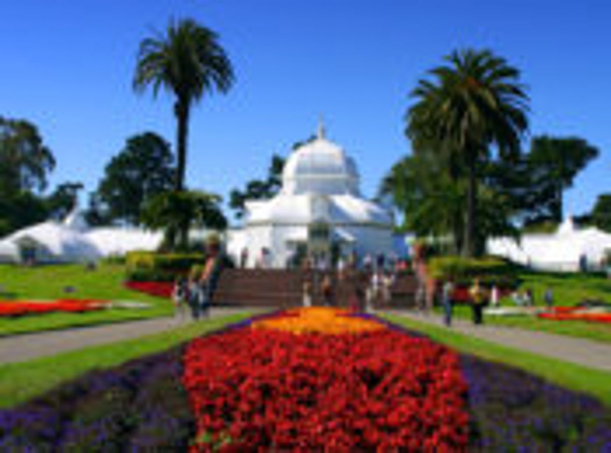 SF’s Conservatory of Flowers Free First Tuesdays