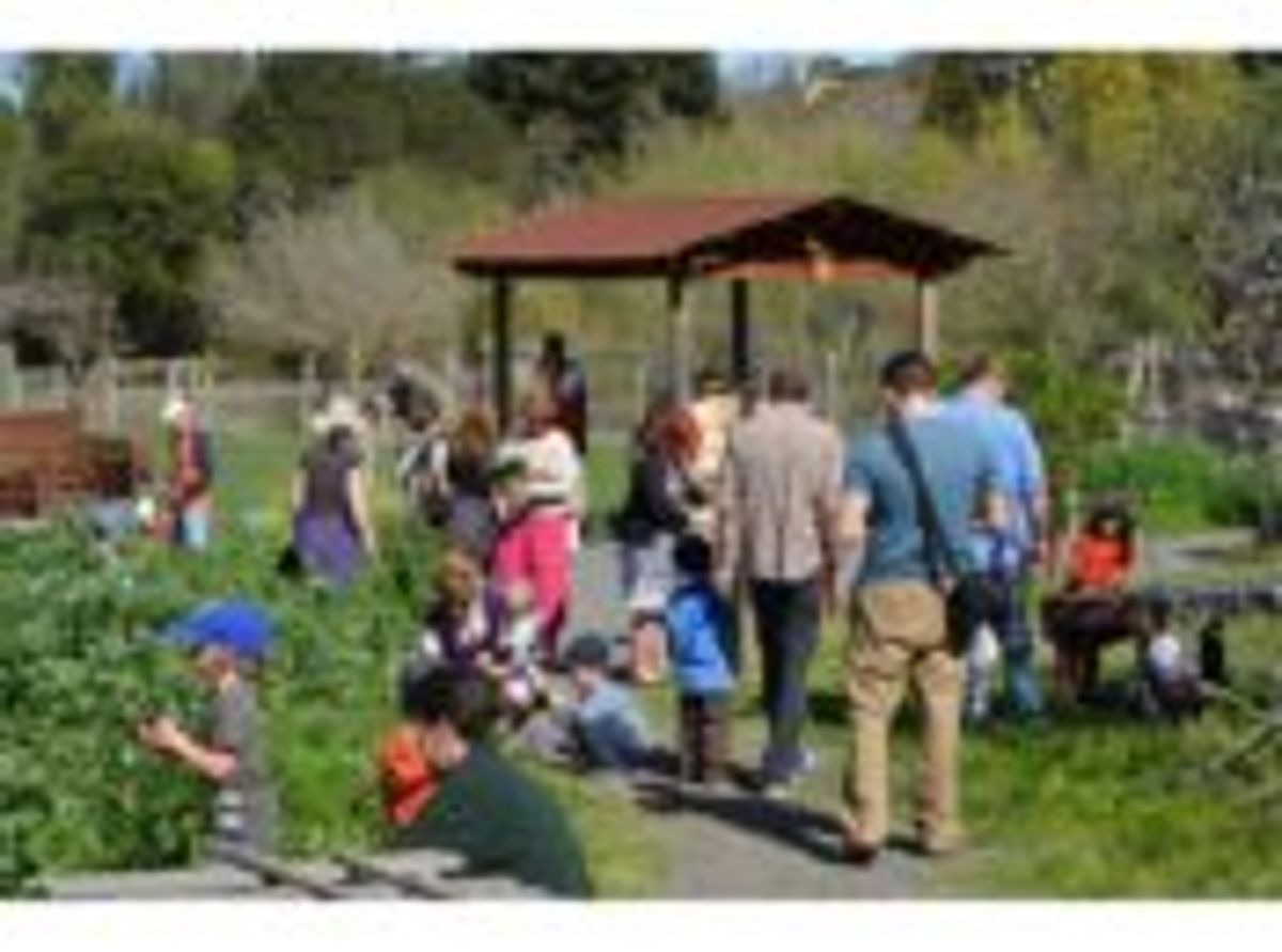 Ranch First Wednesday Open Community Day | Napa