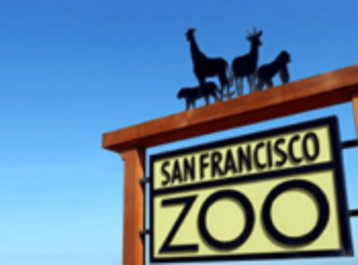 SF Zoo Free Admission Day