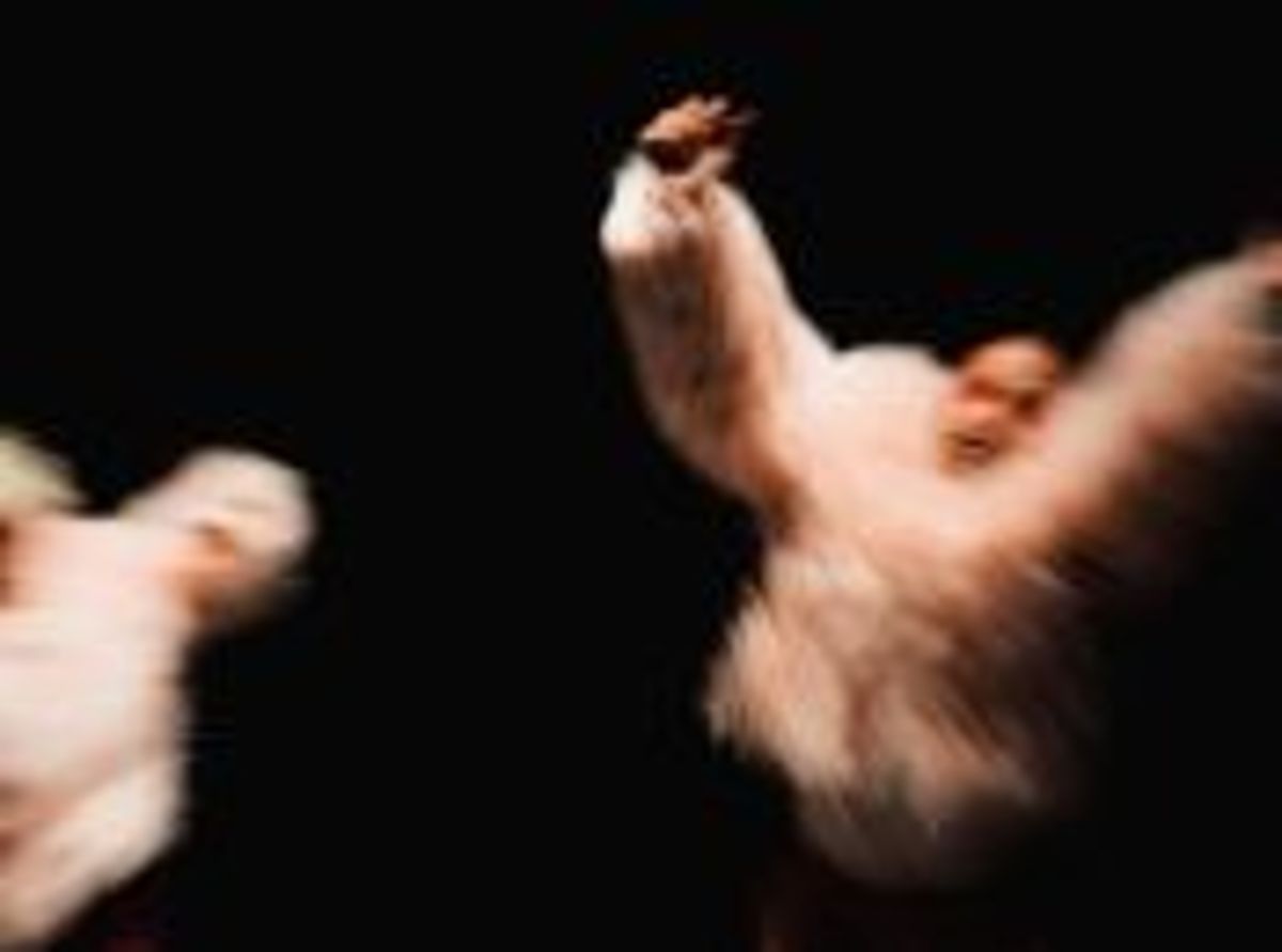 Contemporary Dance: Musicality + Ensemble Workshop